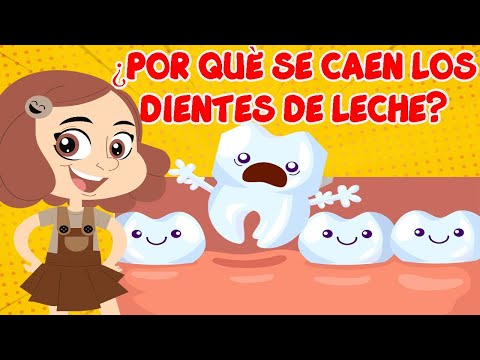 POR QUÉ SE CAEN LOS DIENTES DE LECHE 😬 l videos educativos para niños