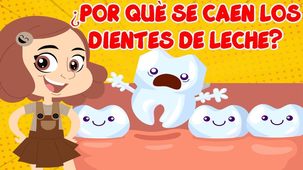 POR QUÉ SE CAEN LOS DIENTES DE LECHE 😬 l videos educativos para niños