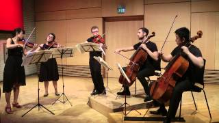 Schubert String Quintet in C (D.956) - I. Allegro ma non troppo