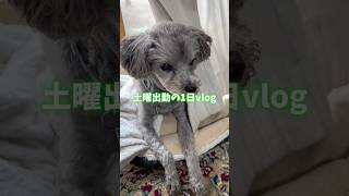 土曜出勤の1日vlog #vlog