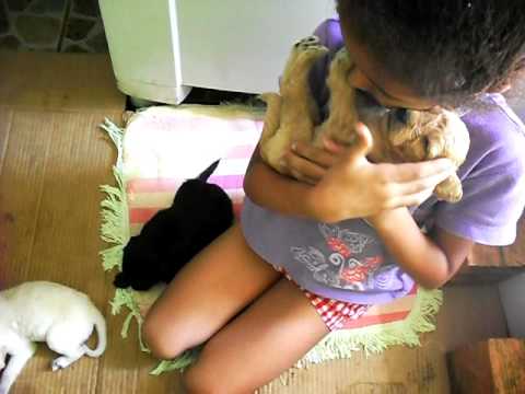 Lívia brincando com os filhotes da Princesa  - 20/12/2011 -SAM_3262.AVI