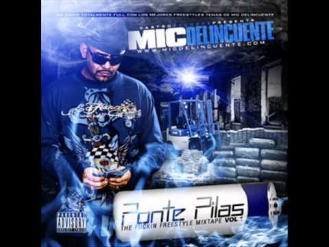 mic delincuente