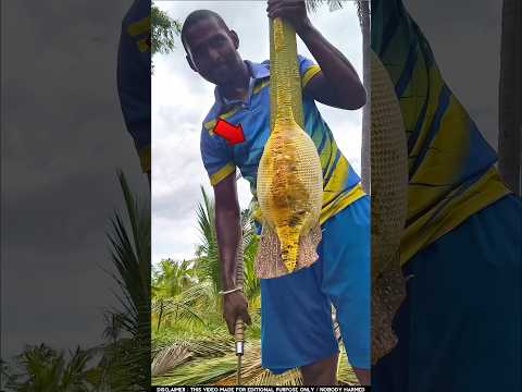 এই কারণে মানুষ মধু খায় না | honeycomb