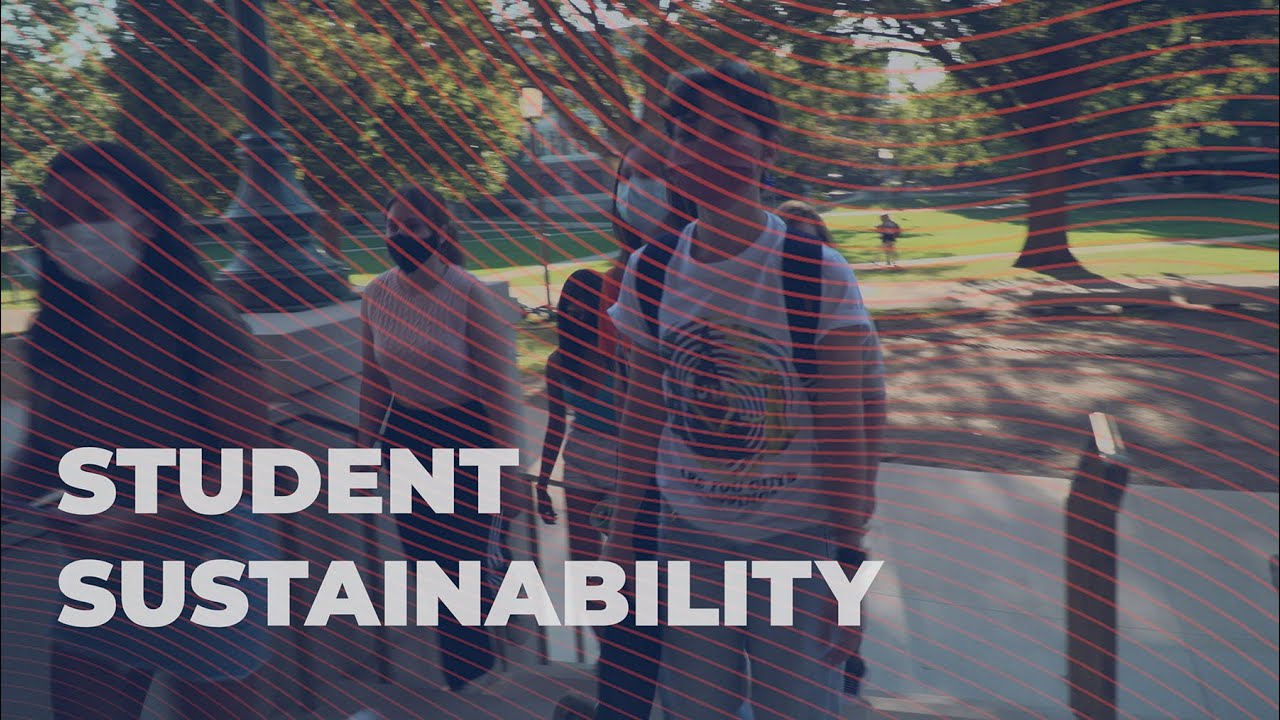 Sustainability Training for Students