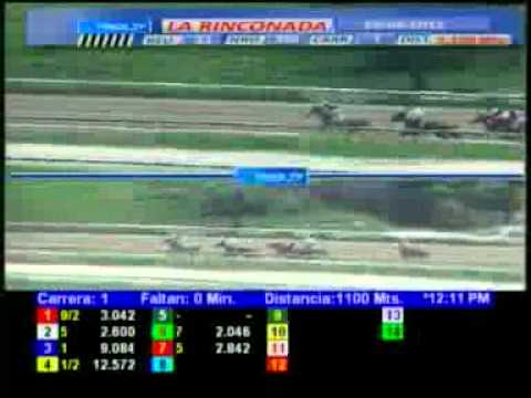 1ERA CARRERA DOMINGO 29 ABRIL LA RINCONADA AUDIOHIPISMO