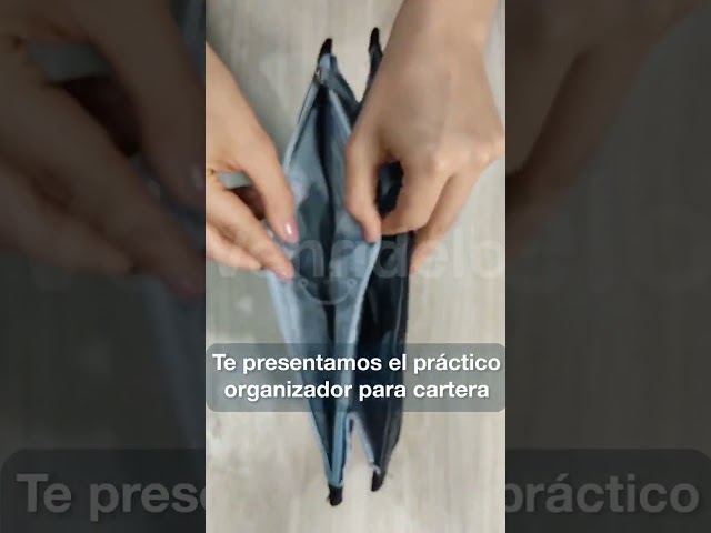 Vídeo relacionado con LEXSION Organizador de fieltro para bolso con cremallera, ajuste Speedy Neverful PM MM, 1-Beige, L
