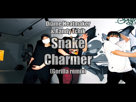 Diame Heatmaker x Randy Tchik - Snake Charmer (Gorilla remix) / 실용 무용 입시 클래스(Free Style Training)