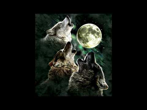 download lagu mp3 mp4 Does Brainwave Mind Voyages Work, download mp3 Does Brainwave Mind Voyages Work free download mp3, download mp3 Does Brainwave Mind Voyages Work