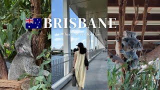 Vlog｜コアラに会えるおすすめ動物園２選🐨🍃｜ローンパイン＆Australia Zoo｜ブリスベン観光