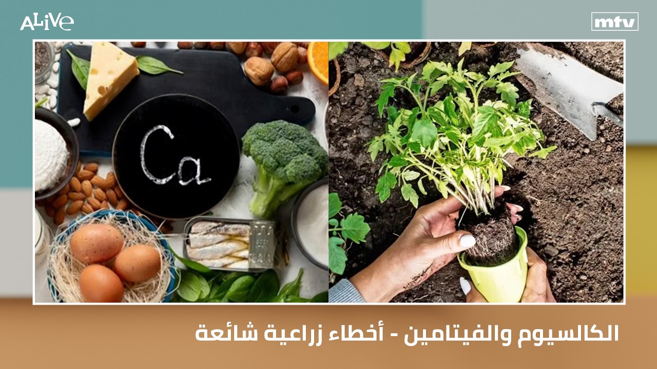 الكالسيوم والفيتامين - أخطاء زراعية شائعة