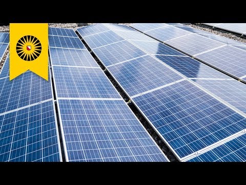 Biggest solar park in Utrecht opened Biggest solar park in Utrecht opened