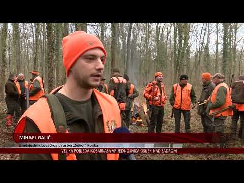 Lov na divlje svinje – tradicija u Koški na blagdan Sveta tri kralja