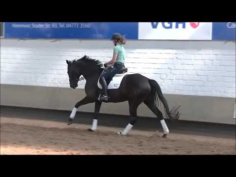 Decurio Friedenstraum komplett