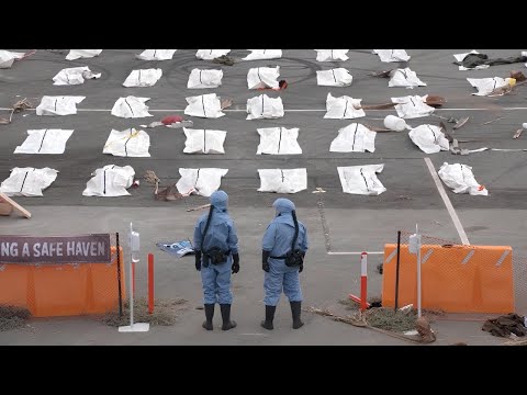 THE LAST MAN ON EARTH Full Series Recap | Season 1-4 Ending Explained