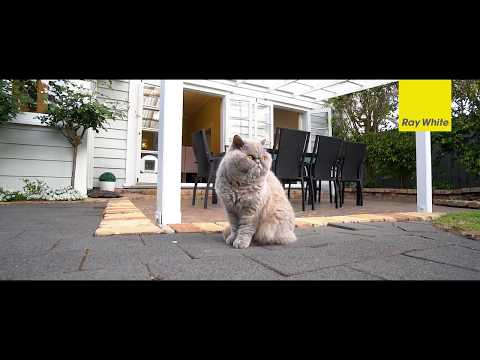 24 Athens Rd - Heather Walton & Trenton Hodson