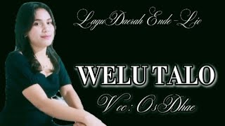 Download lagu OS DHAE - WELU TALO || LAGU DAERAH ENDE LIO TERBARU 2026 || MUSIC VIDEO || @odechannel6203 mp3 Download lagu OS DHAE - WELU TALO || LAGU DAERAH ENDE LIO TERBARU 2026 || MUSIC VIDEO || @odechannel6203 mp3