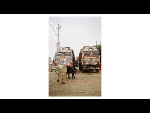 Smena 8M | Kodak Colorplus 200 | India 2019