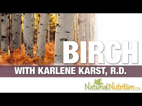 Birch Tree Bark: Discover Its Health Benefits