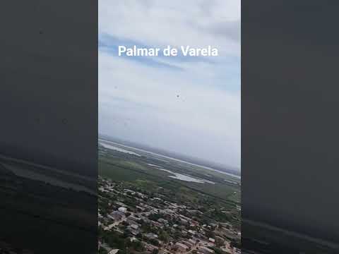Palmar de Varela vista Dron río Magdalena #phonk