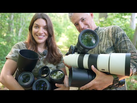$600-$2,000: 10 Wildlife Photography Lenses Reviewed!