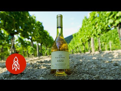 The Rotten Grapes Behind this Legendary Wine