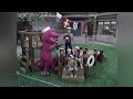 Barney Song We Re Sailing Out Over The Ocean Good Job