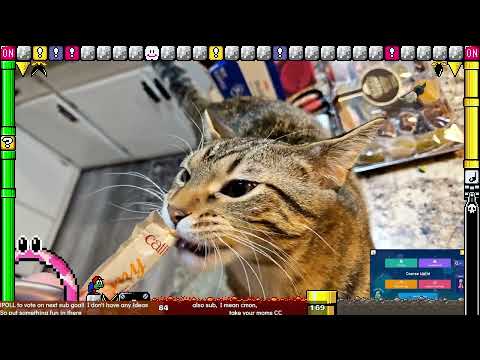 Mario Maker 2 Viewer Levels/Troll levels feedback/critique VOD