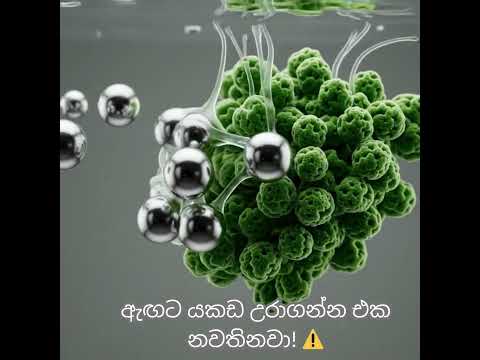යකඩ ගන්න හිතාගෙන පරිප්පුවලට නිවිති දාන අය මේක බලන්න! 🛑 | Cooking Tips #shorts