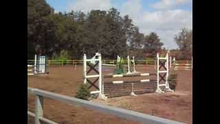 Video of Niwka xx