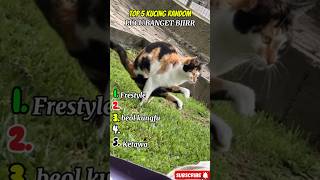 Download lagu Tahan tawa!!  Top 5 kucing lucu banget #lucu #ngakak #kucing #kucinglucu mp3
