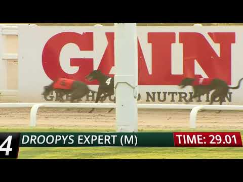 2018 STAR SPORTS DERBY PLATE - HEAT 2 - T4 DROOPYS EXPERT