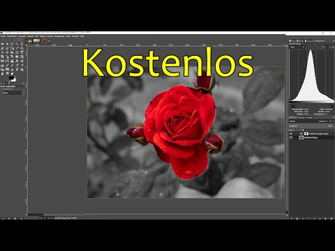 Das beste 😱 kostenlose Bildbearbeitungsprogramm: GIMP! Fast wie Photoshop!