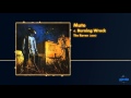 Mute - Burning Wreck
