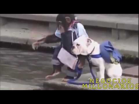 😄El negocio millonario.👍❤