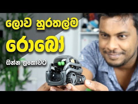 the-worlds-cutest-robot--sri-lanka-