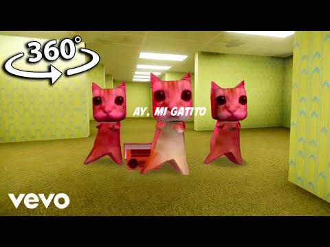 360° VR ay mi gatito miau miau BACKROOMS tiktok | MONTAGEM MIAU (Letra)