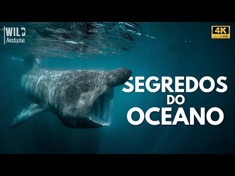 MASTERS OF THE OCEAN - The Most Fascinating Animals of the Deep | Animal Documentary