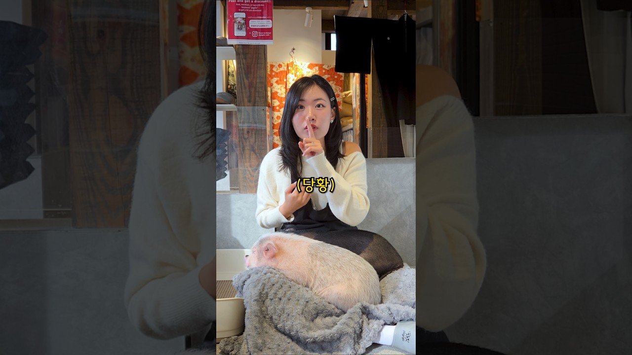 돼지카페에서 돈까스 먹자는 와이프..