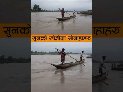 कर्णाली नदि स्थित राजिपुर क्षेत्रमा सुनकाे खाेजीमा साेनाहाहरु
