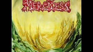 Merciless - Shadows Of Fire