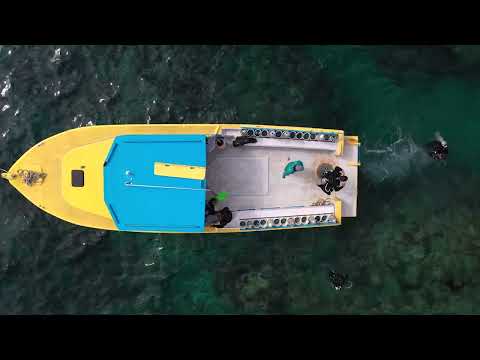 Bird's Eye View of a Typical Day at Utila Dive Center