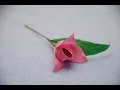 Цветы из бумаги и конфет. Свит-дизайн. paper flowers. sweet design 