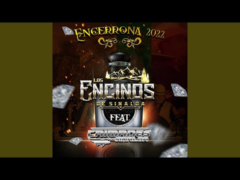 La Linea Directa (En vivo)