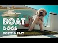 DOGS ON A BOAT! #42 How dogs go to the bathroom and play on our Nordhavn 55 yacht!