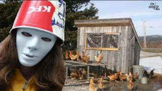 Welcome to Buckethead Land