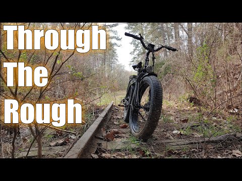 Himiway Cruiser 8 Month Review