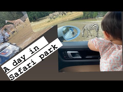 A beautiful day at safari park , six flags , New Jersey  October 9, 2020 ||Tanzila’s little world