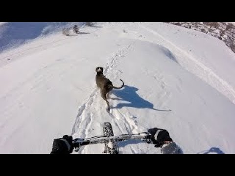 GoPro: Olivier Cuvet - Full Serlin 7.11.16 - Bike