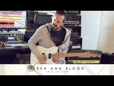 Simone Mularoni - “Flesh and Blood” solos playthough