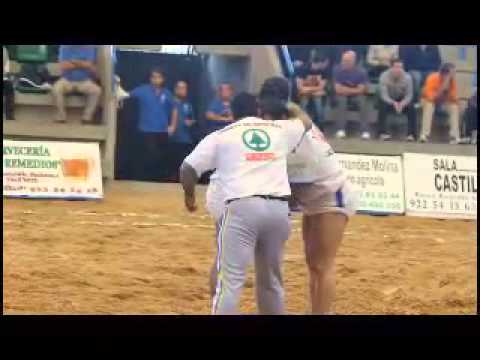 Tegueste 11 - Brisas del Teide 12